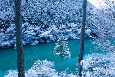 奥多摩の雪景色 風景写真家 新海良夫のブログ