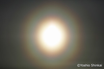 花粉光環 2.jpg