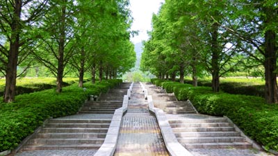 01.jpg