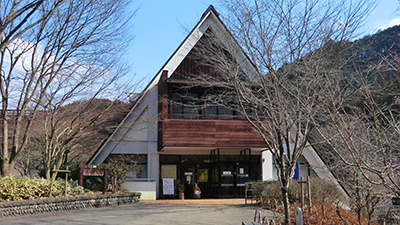 03.jpg