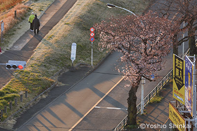 0324-3.jpg