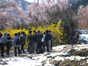 04.jpg