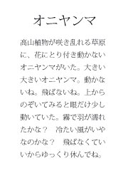 04.jpg