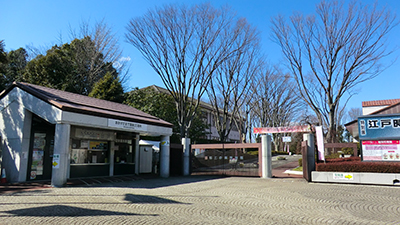 05.jpg