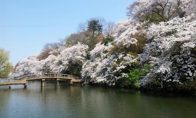 20140412_122003.jpg