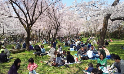 20140412_124317.jpg