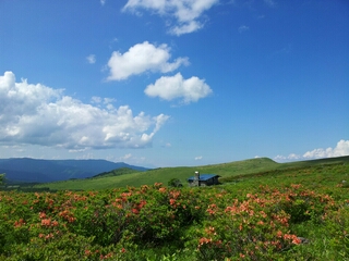 20140701_145515.jpg
