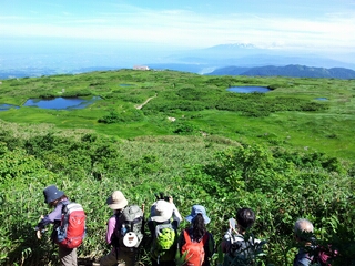 20140726_084543.jpg