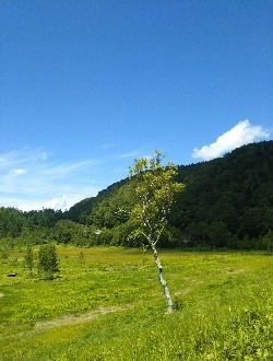 DSC_1557-250x330.JPG