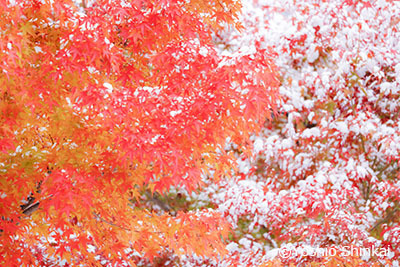 ハイキー写真-3.jpg