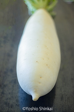三浦大根2.jpg