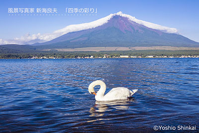 元画像.jpg