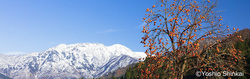 八海山.jpg