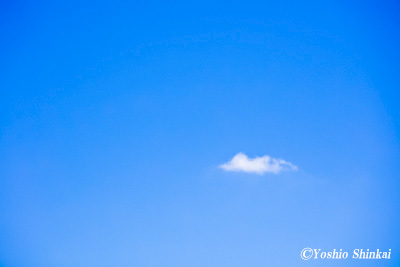 夏空 4.jpg