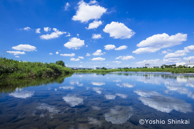 夏空の多摩川.jpg