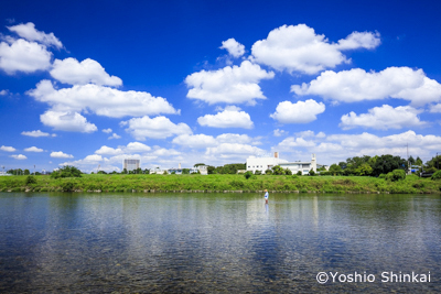 夏空の多摩川3.jpg