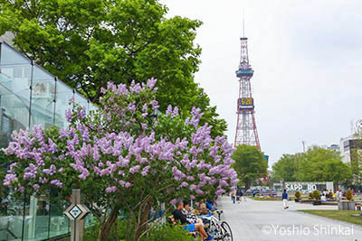 大通公園.jpg