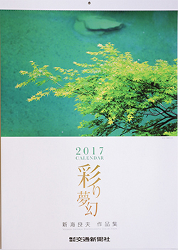 彩り夢幻2017.jpg