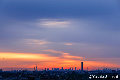 新宿高層ビル群.jpg