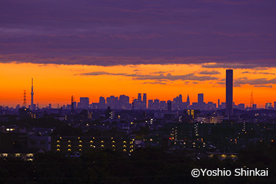 新宿高層ビル群.jpg