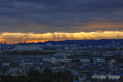 朝の光.jpg