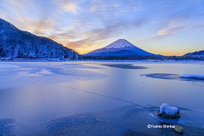 朝の富士山.jpg