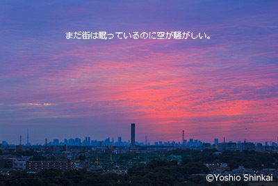 朝の空1.jpg