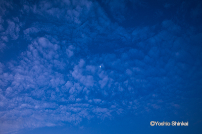 朝の空