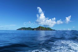 母島7.jpg
