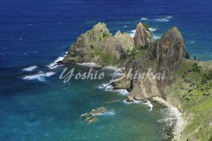 父島3.jpg