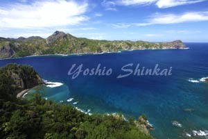 父島4.jpg