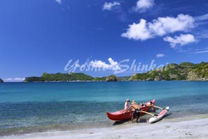 父島4.jpg