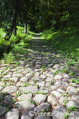 石畳道.jpg