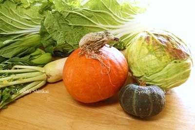 秋野菜.jpg