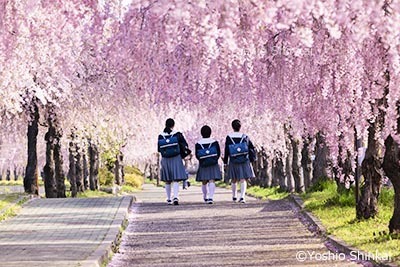 通学風景.jpg