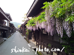 高山市.png