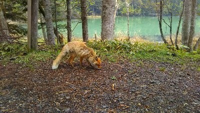 IMG_20170524_181529.jpg