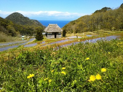 IMG_20190401-2-400x300.jpg