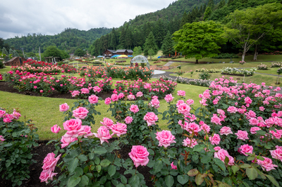 _MG_8576.jpg