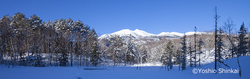 _MG_9937.jpg